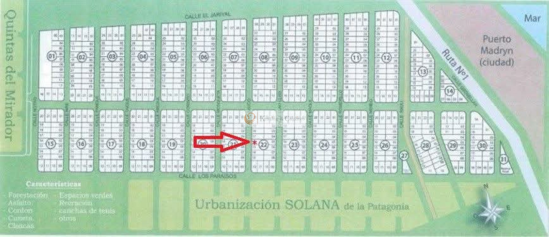 LOTE EN ESTILO SOLANA